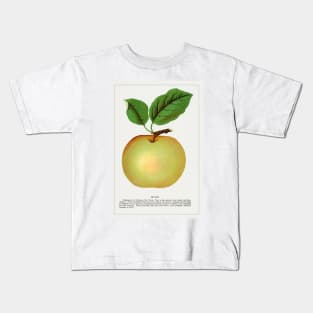 Mann Apple Lithograph (1900) Kids T-Shirt